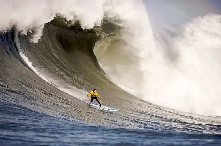 Elite Surf Experiences America: Comprehensive Analysis & Coastal Strategy